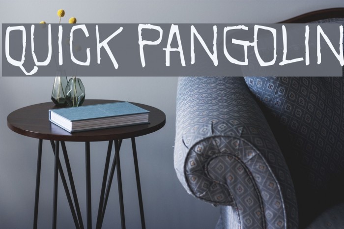 Quick Pangolin Font examples