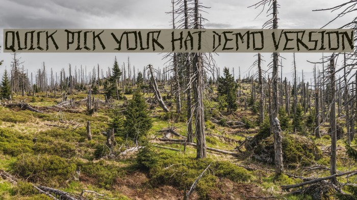 Quick Pick Your Hat Demo Version Шрифта examples