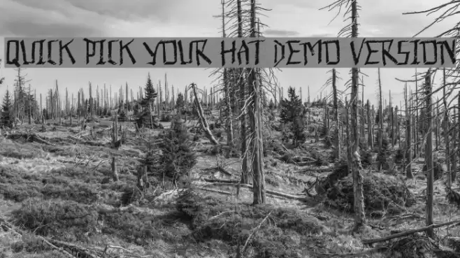Quick Pick Your Hat Demo Version Шрифта examples