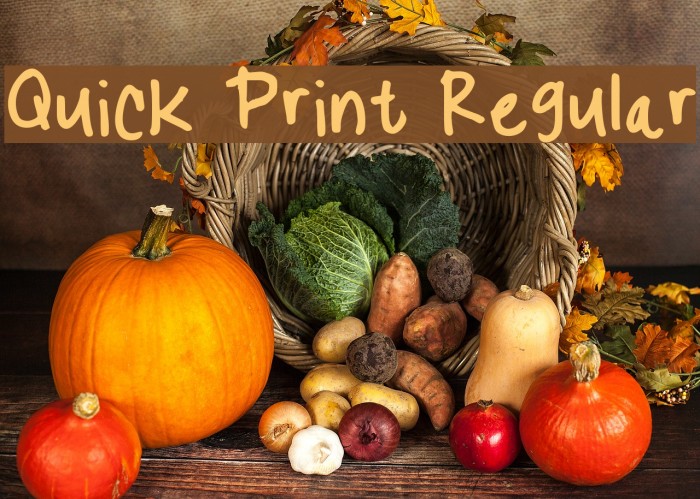 Quick Print Regular Font examples