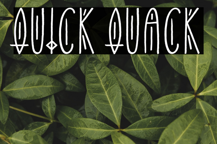 Quick Quack Example 1