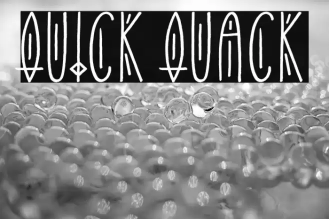 Quick Quack Caratteri examples