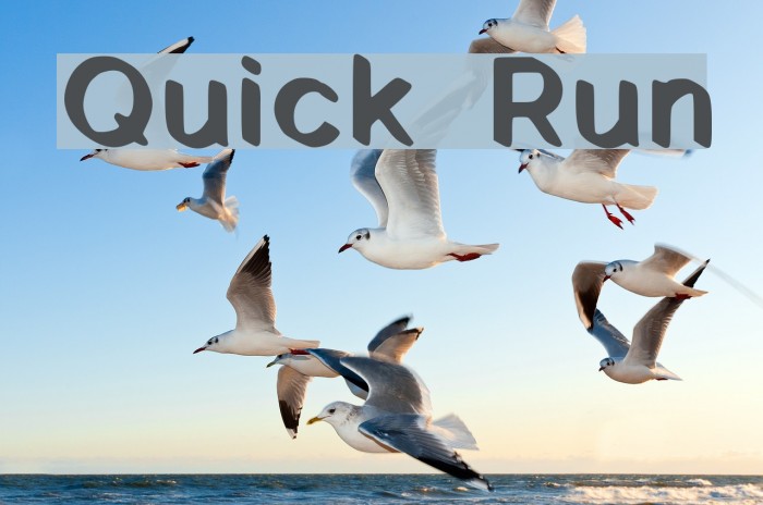 Quick Run Font examples