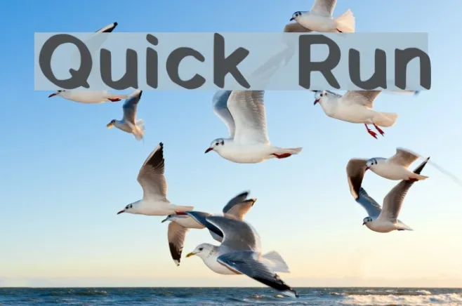 Quick Run Example 1