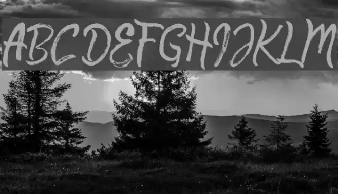 Quick Silver Demo Schriftart examples