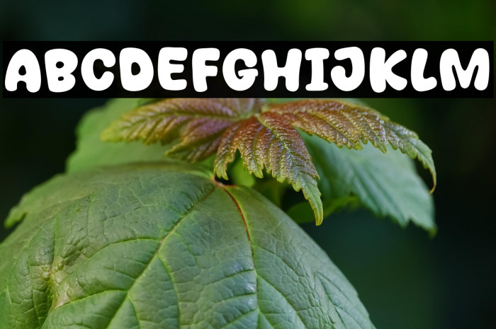 Quick Stand Example 1