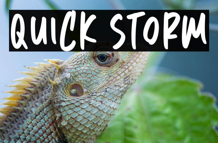 Quick Storm Example 2