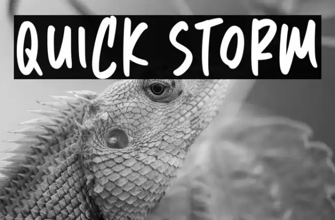 Quick Storm Font examples