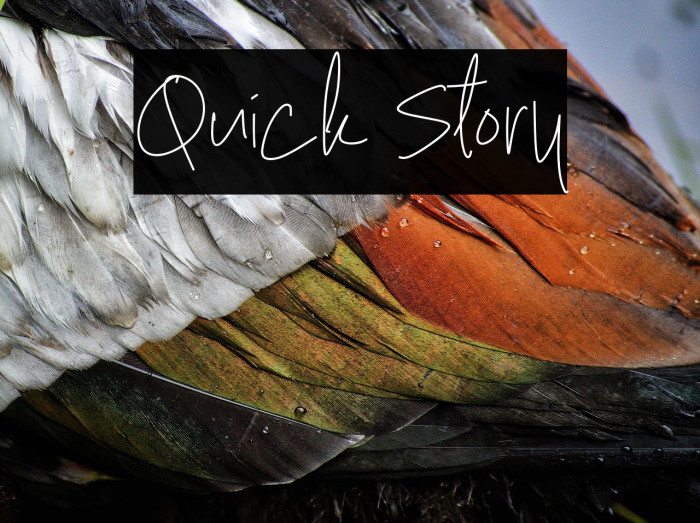 Quick Story Example 1