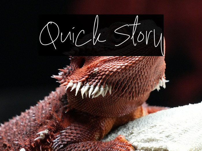 Quick Story Example 2