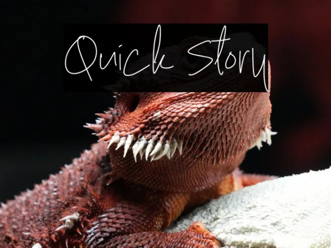 Quick Story Example 2