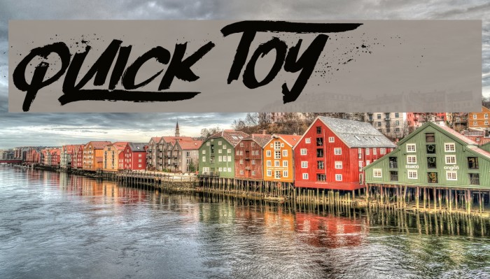 Quick Toy Polices examples