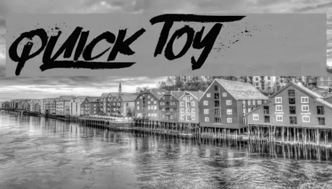 Quick Toy Polices examples