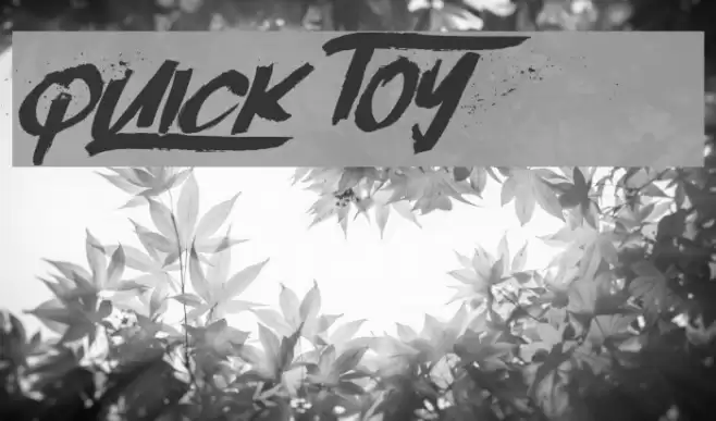 Quick Toy Polices examples