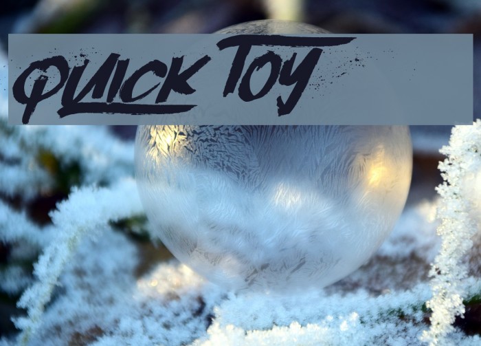 Quick Toy Polices examples