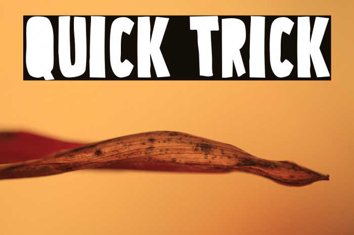 Quick Trick Example 3