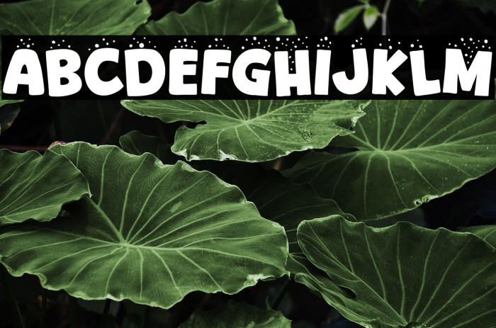 Quick Winter Polices examples