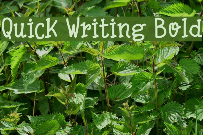 Quick Writing Bold Font examples