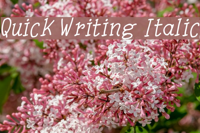 Quick Writing Italic Font examples