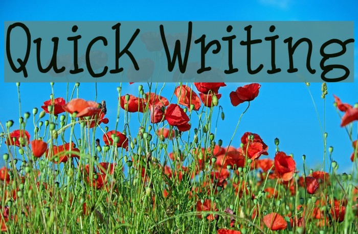 Quick Writing Font examples
