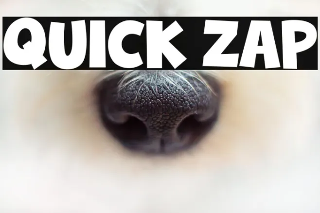 Quick Zap Example 2