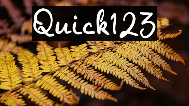 Quick123 Example 3