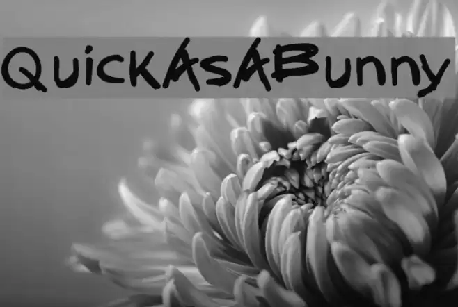QuickAsABunny Fuentes examples