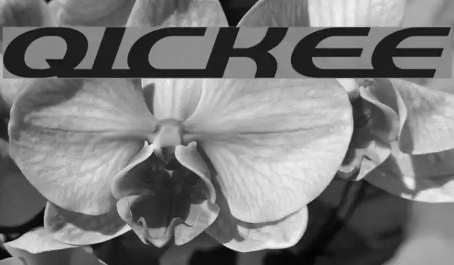 QuickExpress Font examples