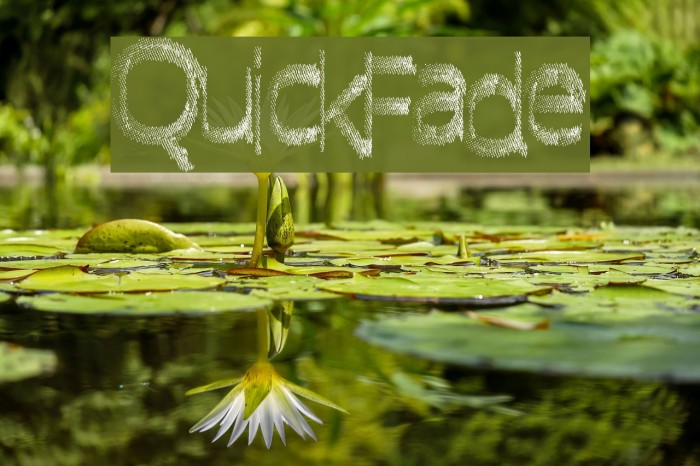 QuickFade لخطوط تنزيل examples