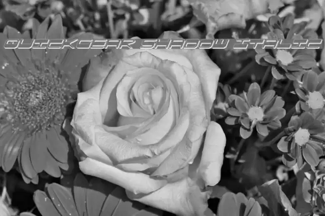 QuickGear Shadow Italic Font examples