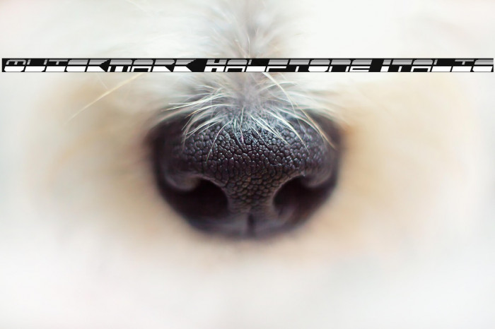 QuickMark Halftone Italic Example 3