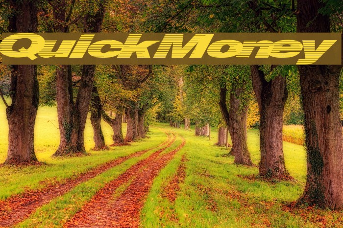 QuickMoney Font examples