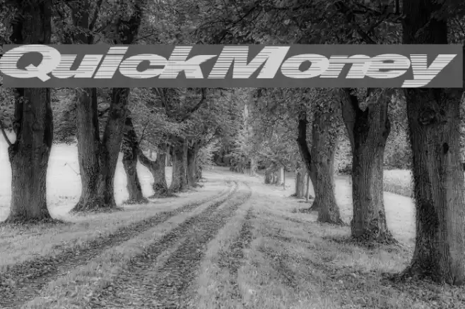 QuickMoney خط examples