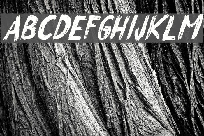 QuickPick-Italic Font examples