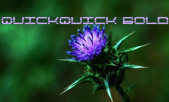 QuickQuick Bold Caratteri examples
