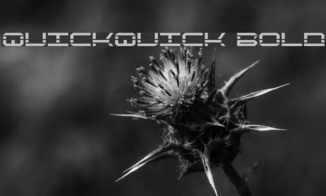 QuickQuick Bold Caratteri examples