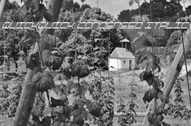 QuickQuick Condensed Italic Font examples