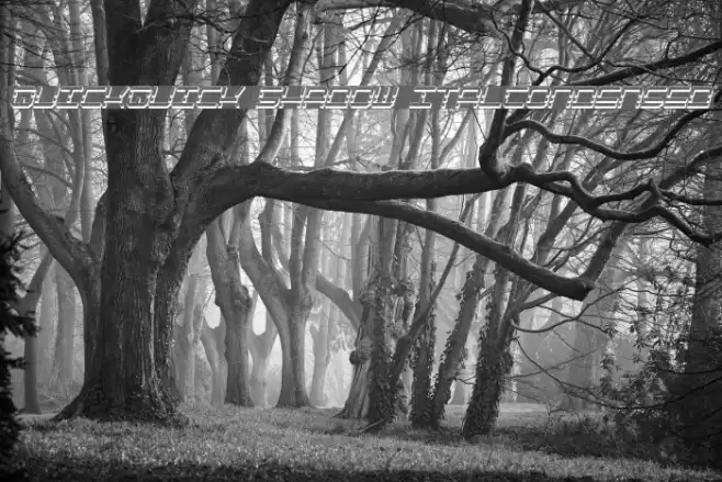 QuickQuick Shadow ItalCondensed Polices examples