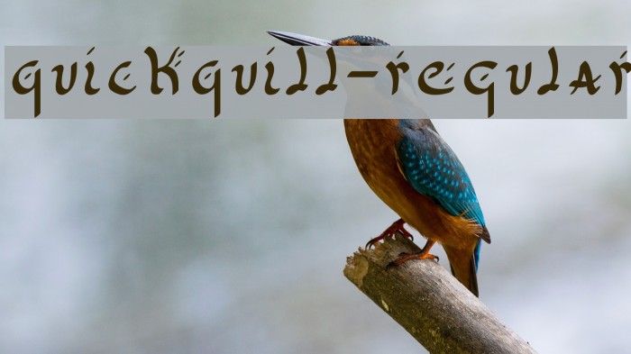 QuickQuill-Regular Font examples
