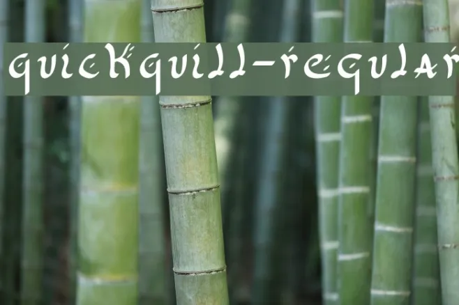QuickQuill-Regular Example 3