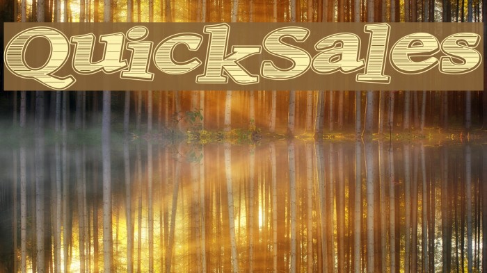 QuickSales Font examples