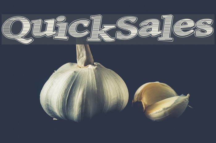 QuickSales Font examples