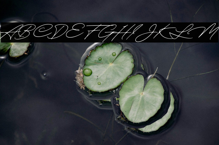 QuickSignaturePersonalUse Example 1