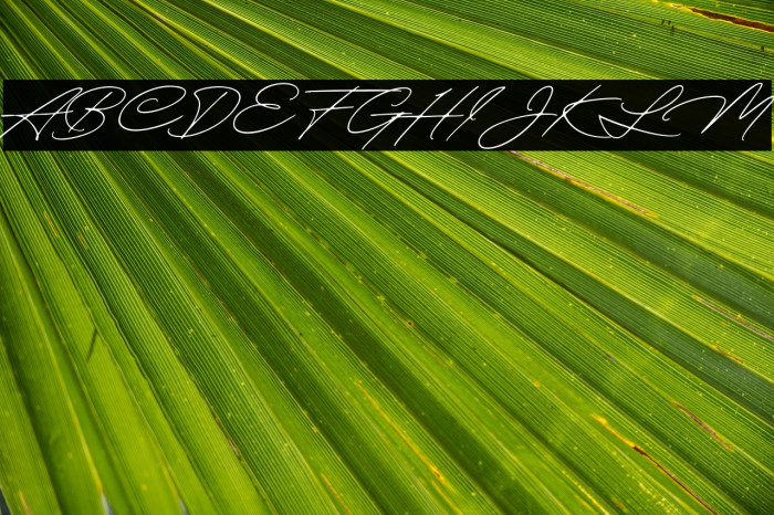 QuickSignaturePersonalUse Example 3