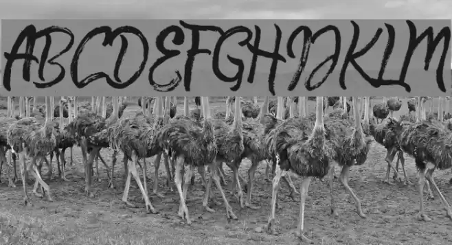 QuickSilverDemo Font examples