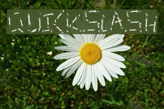 QuickSlash Example 1