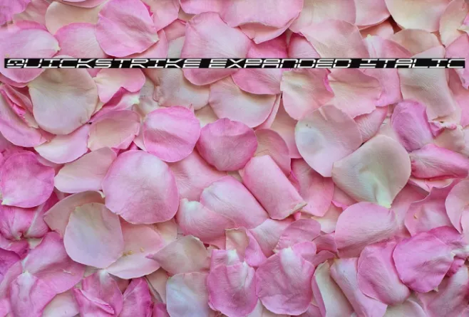 QuickStrike Expanded Italic Example 1