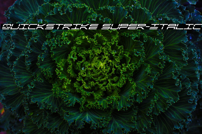 QuickStrike Super-Italic Font examples