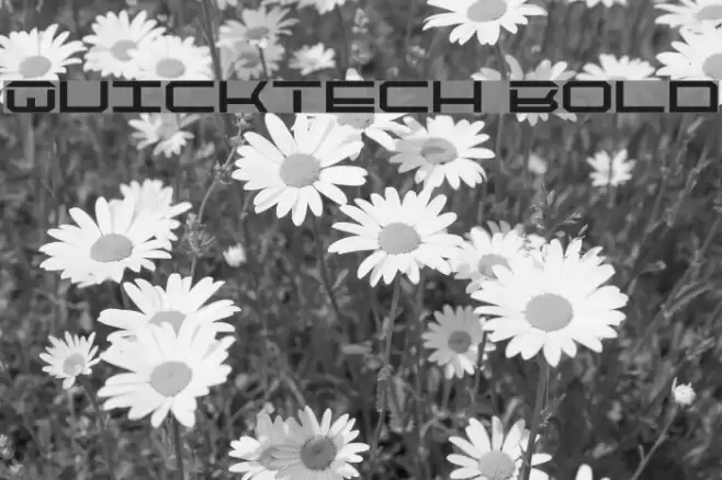 QuickTech Bold Font examples