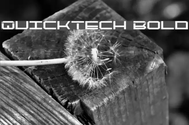 QuickTech Bold Font examples